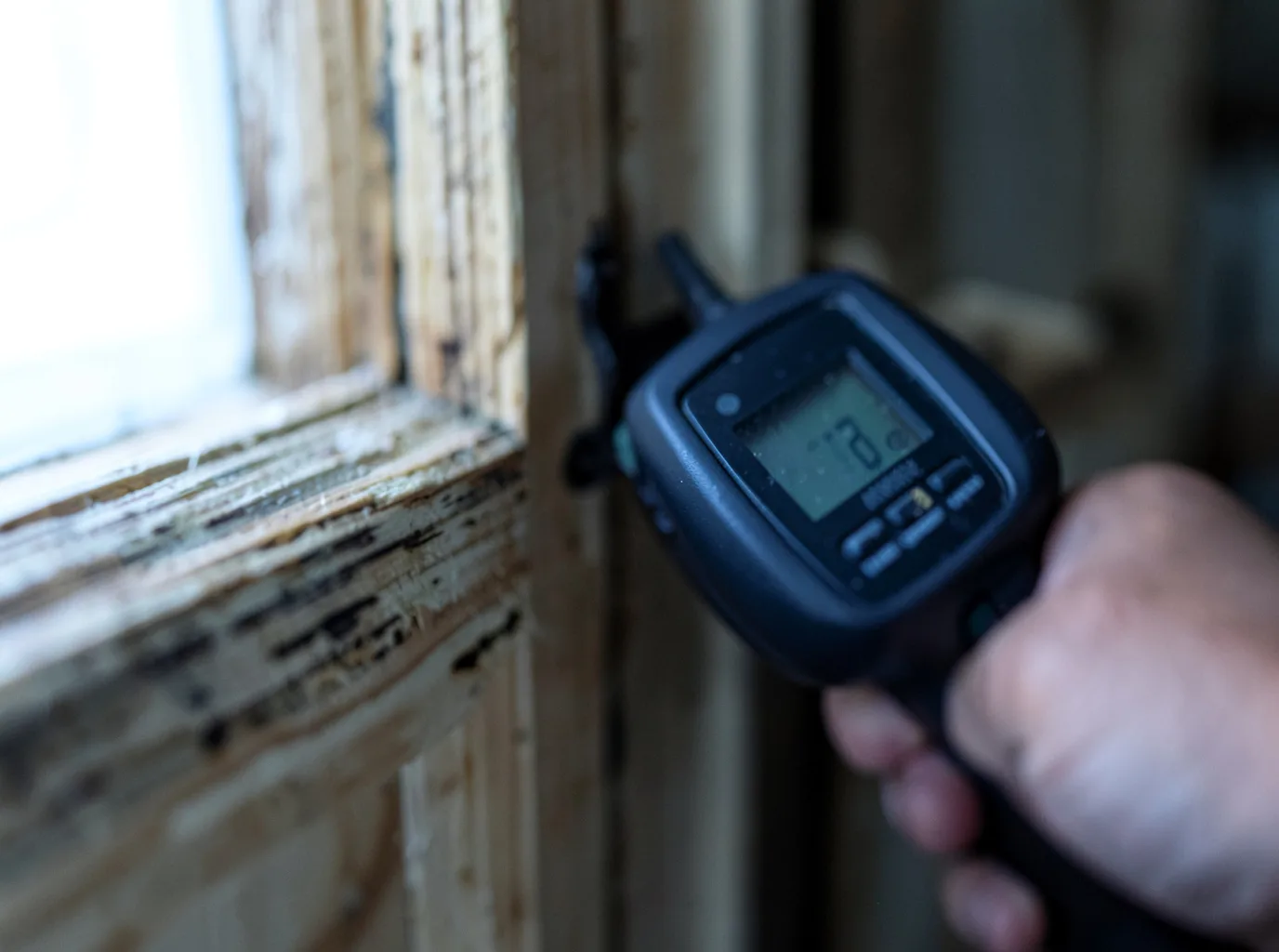 Commercial Water Damage Restoration in Toyah, TX